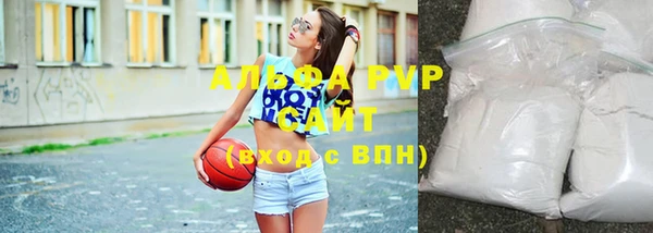 дурь Новодвинск