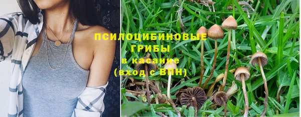 гашиш Алзамай