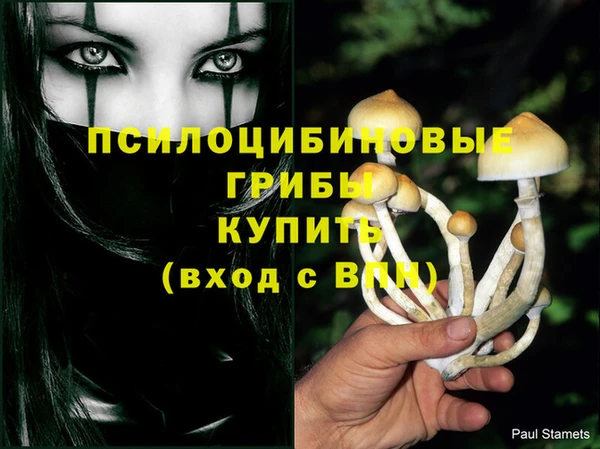 бутират Абинск